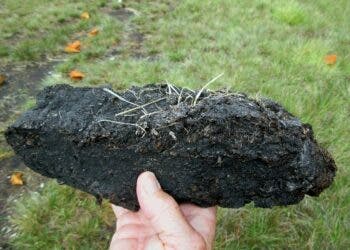 Peat (also known as turf) consists of partially decayed organic matter. The Irish have long mined peat to be burned as fuel though this practice is now discouraged for environmental reasons.