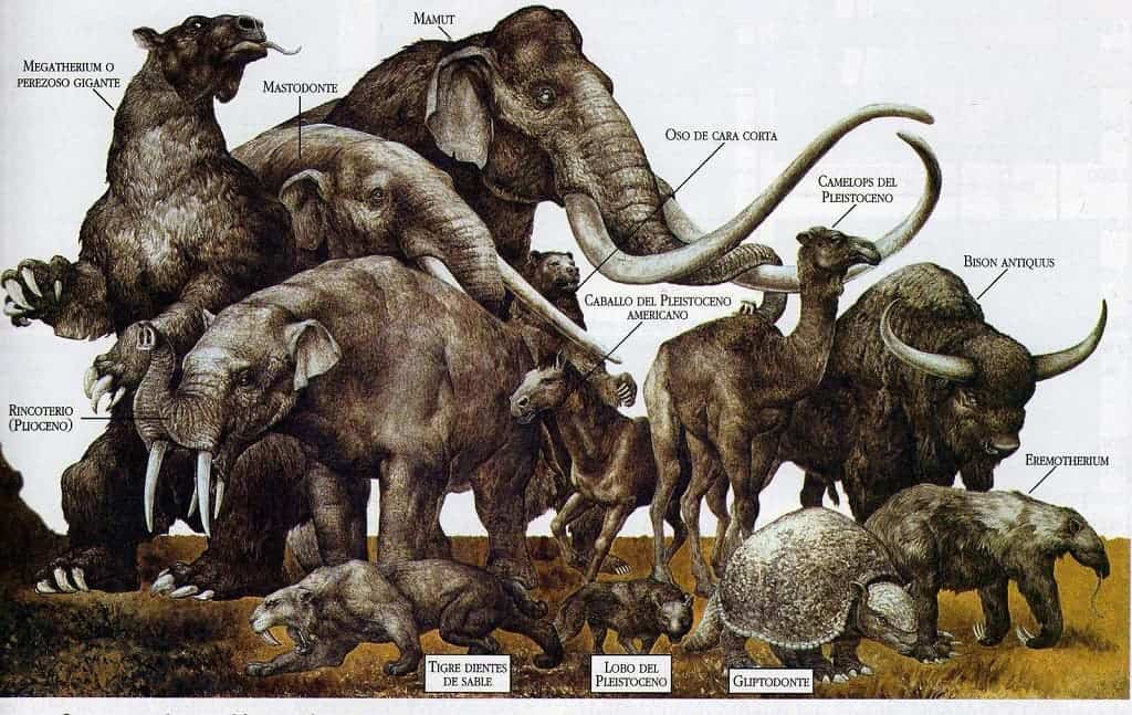 Big brains helped clever mammals survive the last Ice Age that wiped out  megafauna