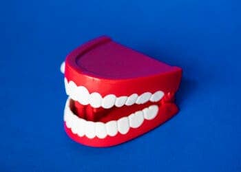 Wind up chattering teeth toy