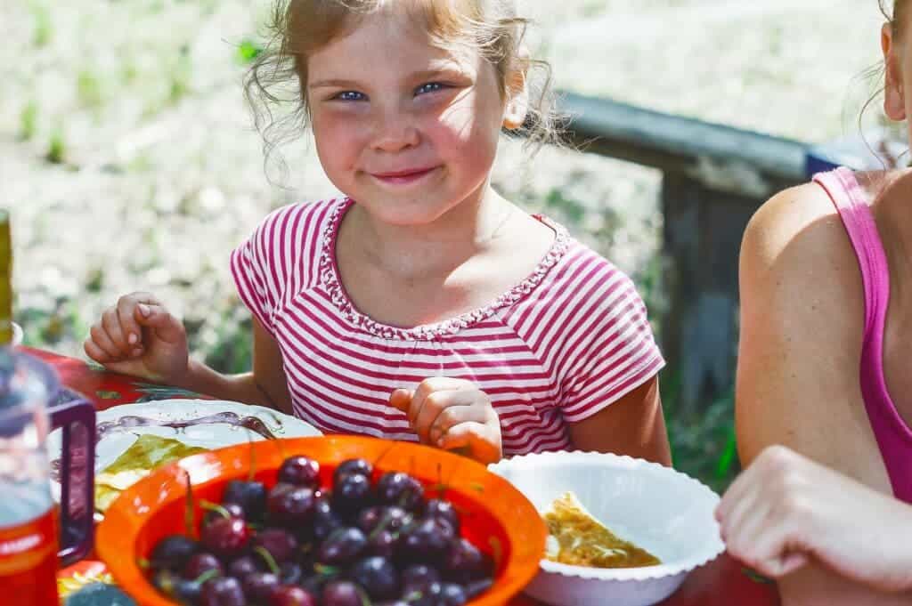 A Nordic weight loss program could make your youngsters health-conscious proper from the start