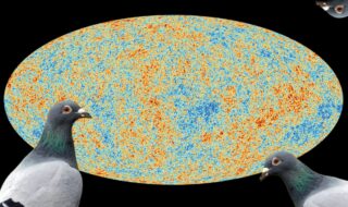 cosmic microwave background