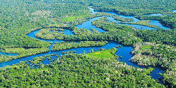 Amazon Rainforest - Amazon River