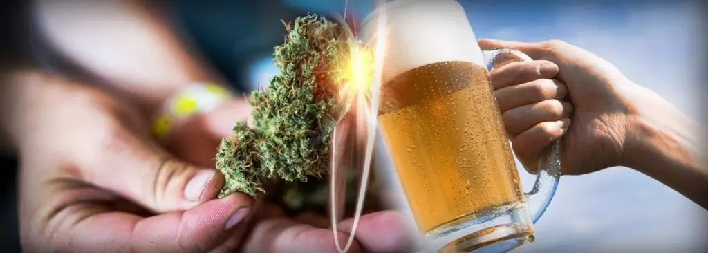 What occurs within the mind while you combine marijuana and alcohol