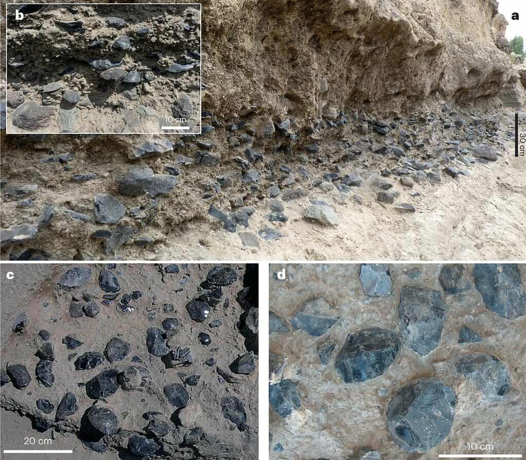 Taller prehistórico cargado con cientos de herramientas de obsidiana de 1,2 millones de años encontradas en África