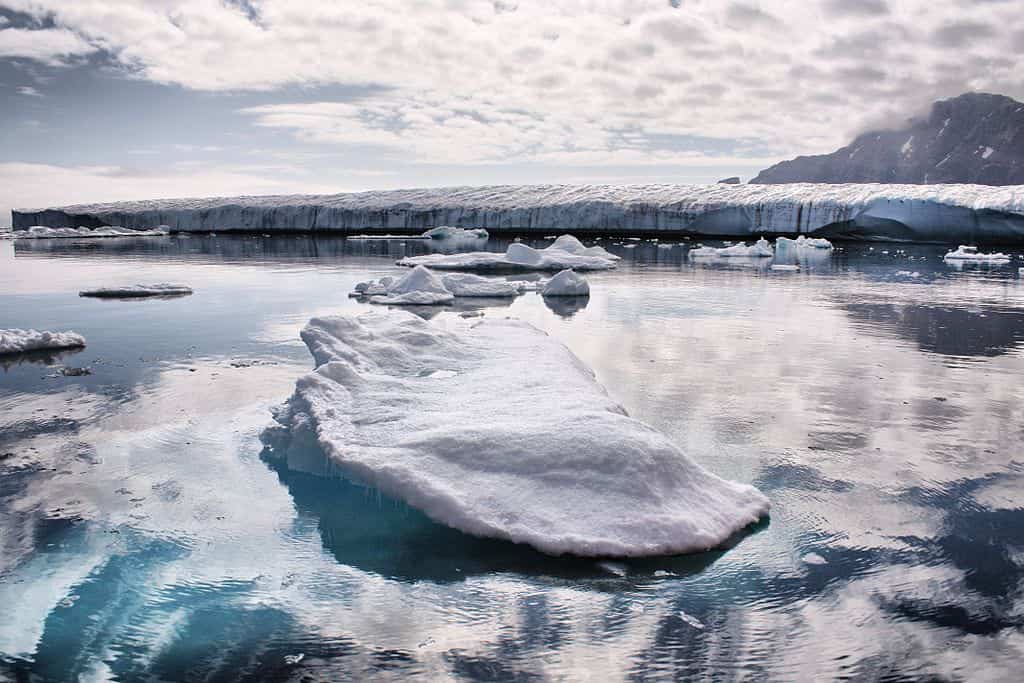 Ice is seen floating in Greenland