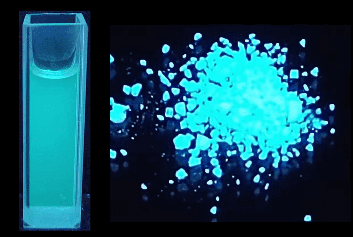 fluorescent compound from plants