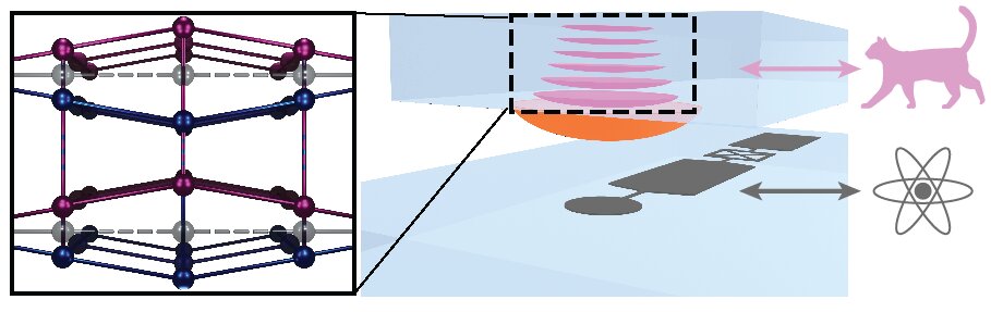 schematic of a schroedinger's cat experiment