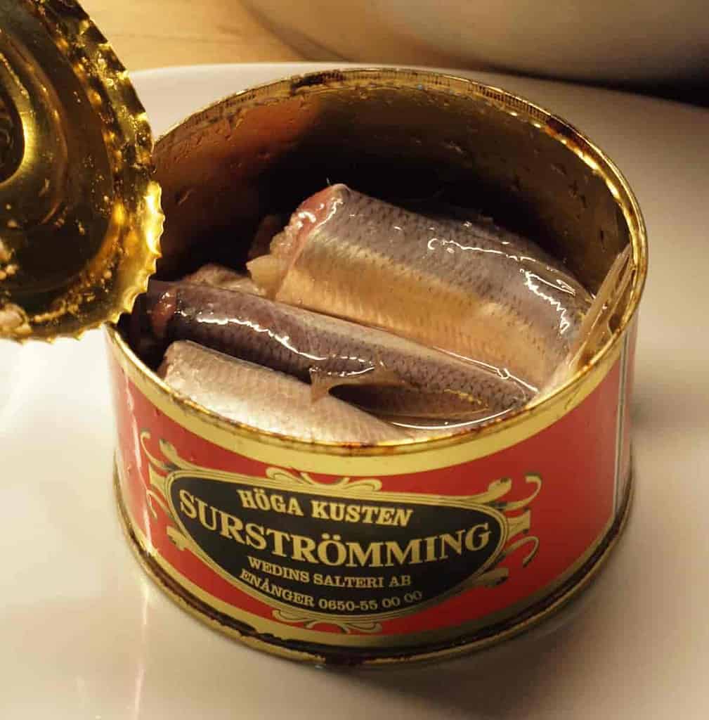 An open can of Surstromming.