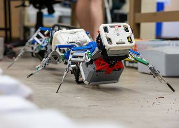 The centipede-inspired robot. Image credit: Georgia Tech.