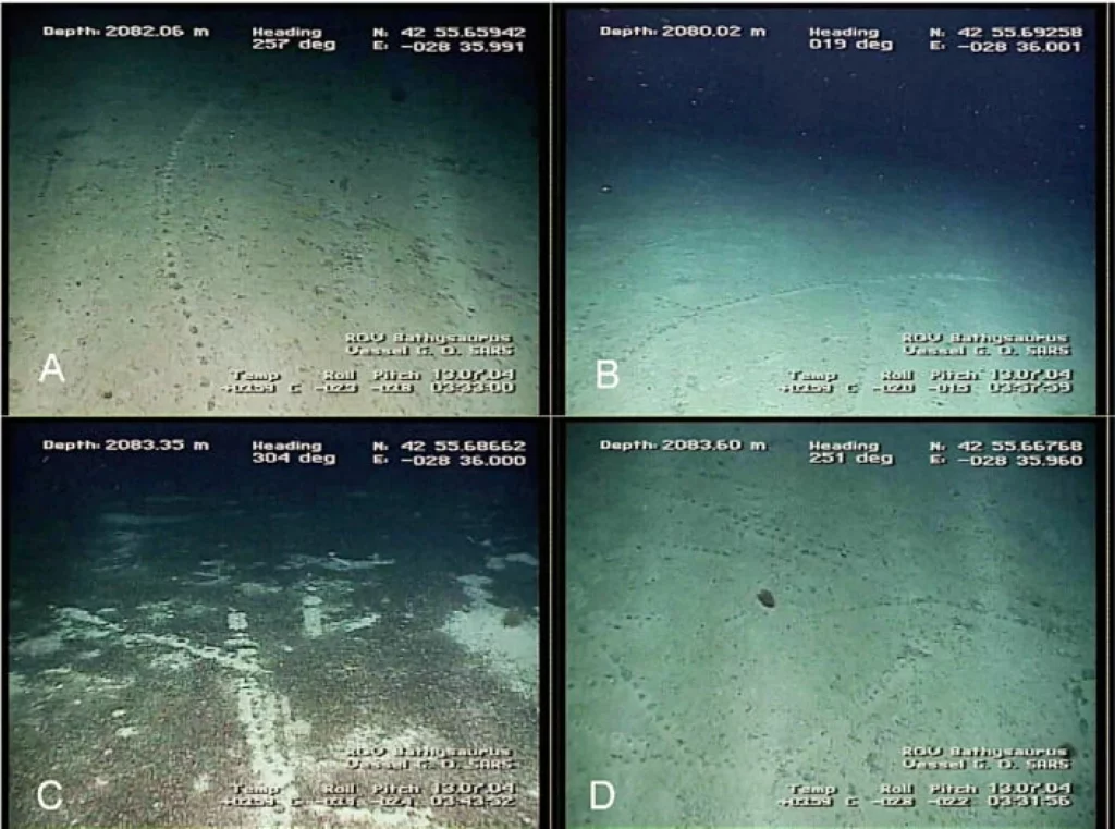 deep sea tracks in Atlantic