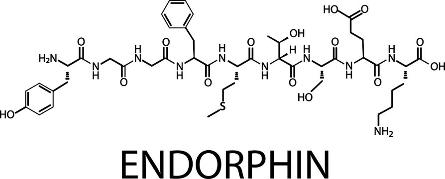 Chemical formula of endorphin