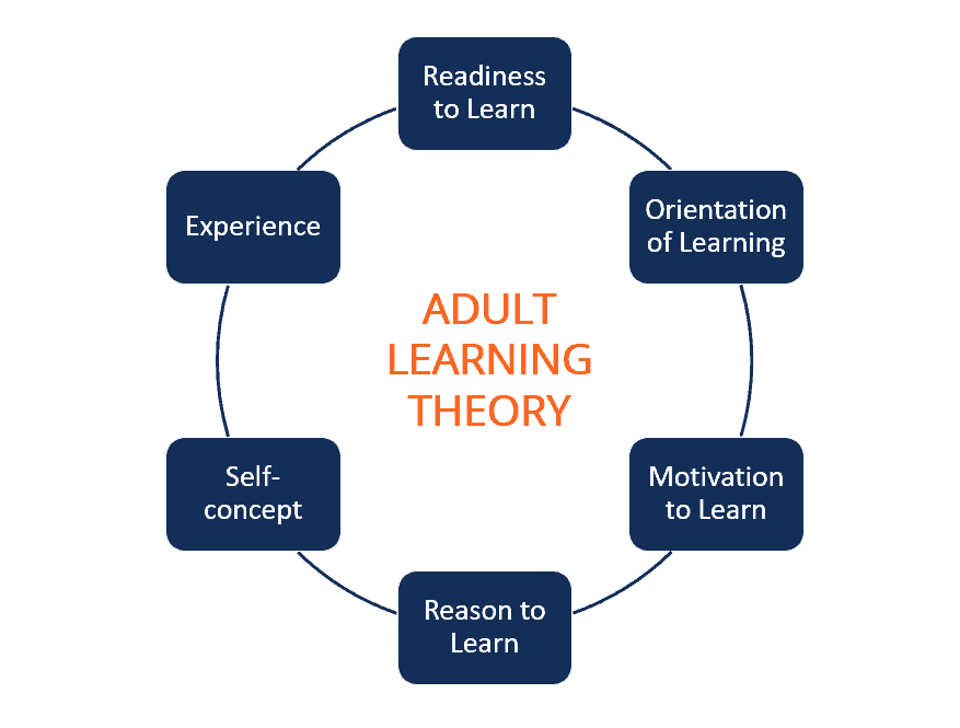 Schematic of adult learning