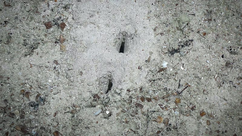 holes in atlantic floor