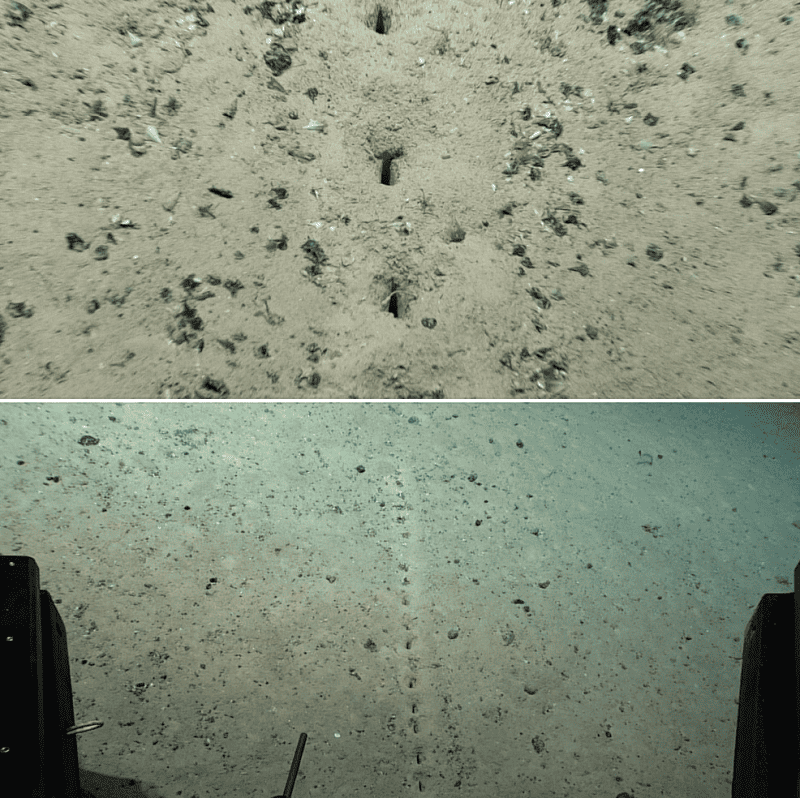 strange tracks on atlantic ocean floor