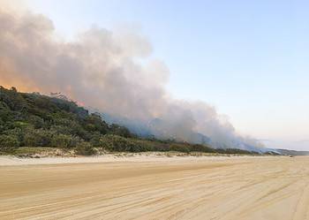 The Cooroibah wildfire sweeps down the Cooloola Sand Dunes in Australia. Image credits: Michael Ford.