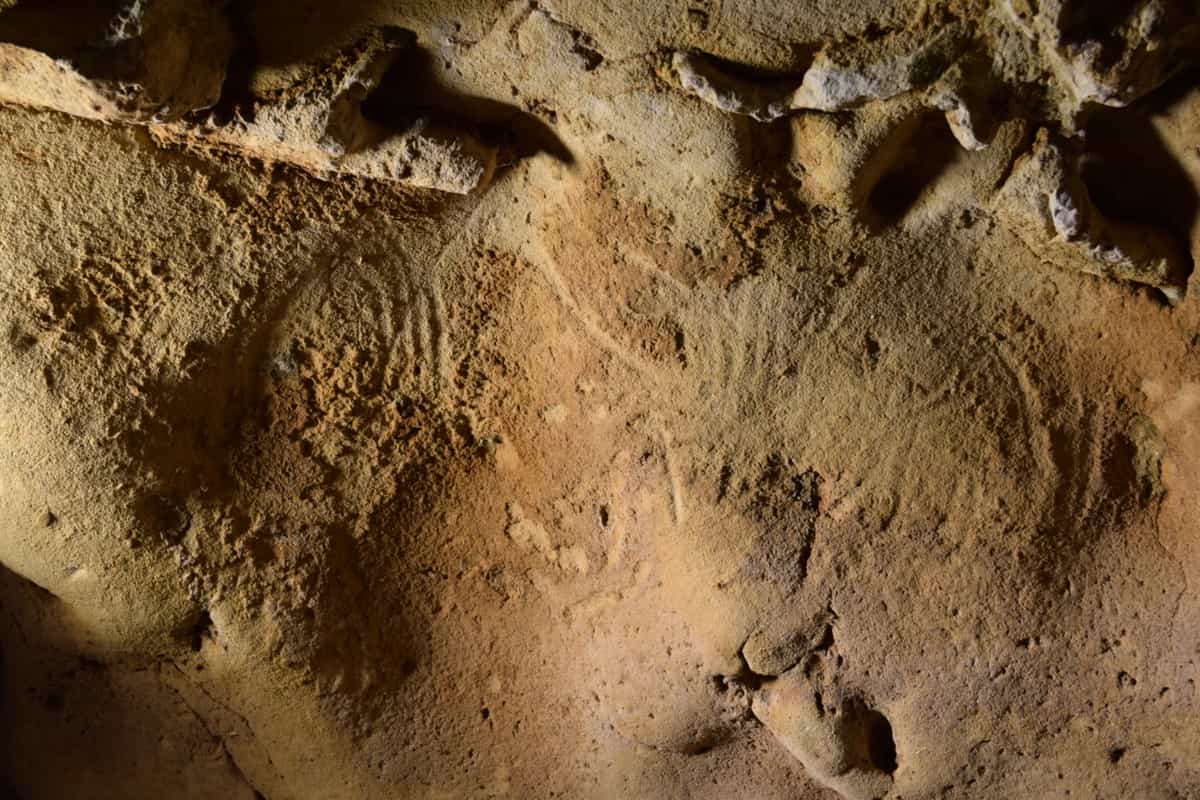 Hình khắc hang động của người Neanderthal