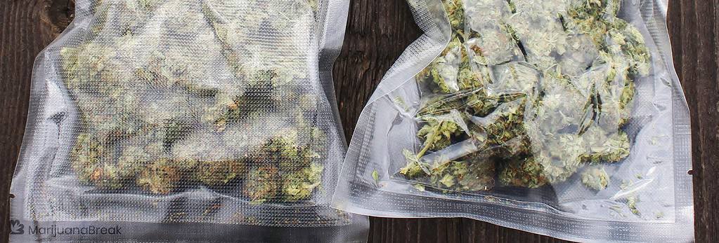 double-vacuum sealed marijuana bags