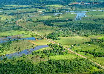 Aerial view of the Amazon. Image credits: CIFOR / Flickr.