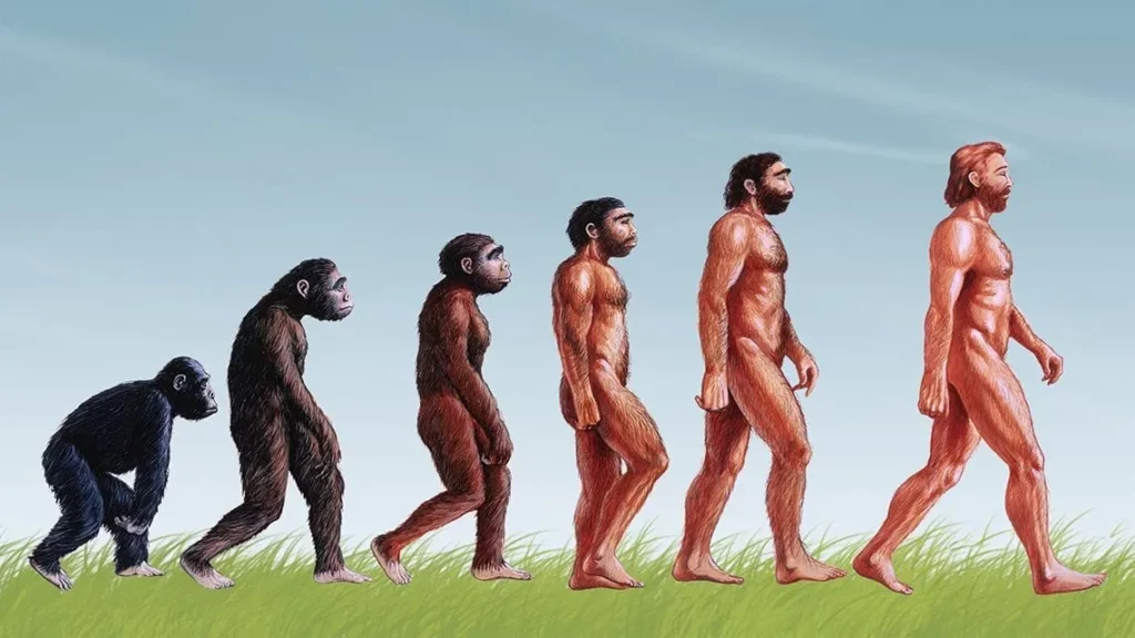 How humans lost their hair through evolution