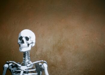 An illustration of a skeleton with an empty background.