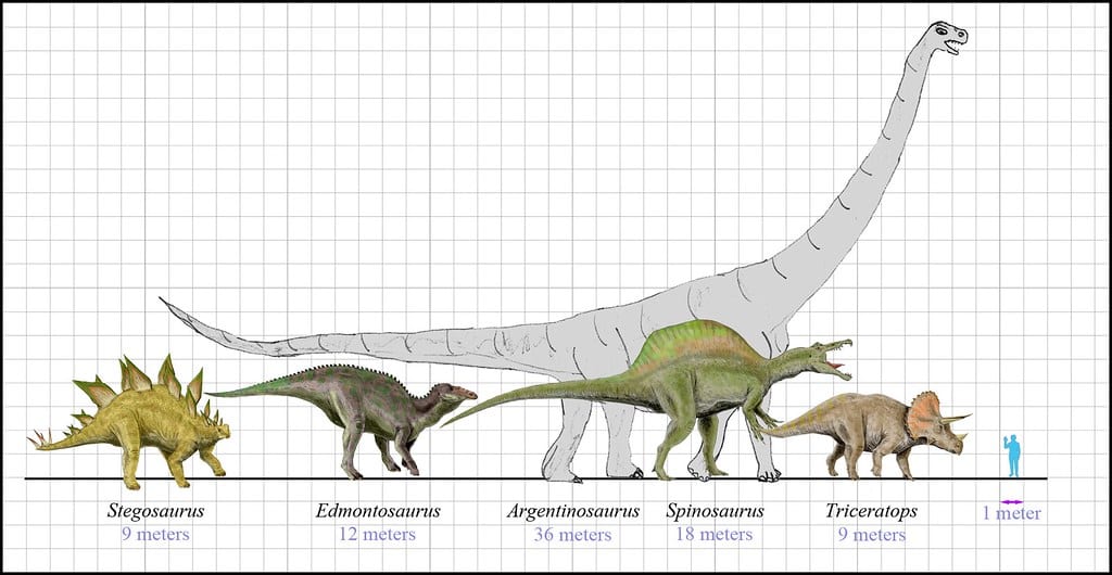 schematic of dinosaur names and their relative sizes