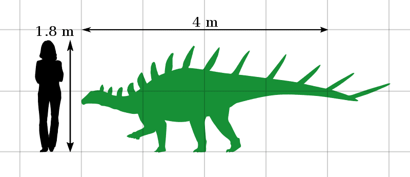 stegosaurus size