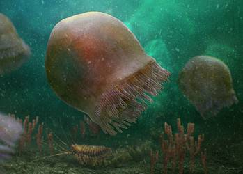 Artistic reconstruction of a group of Burgessomedusa phasmiformis swimming in the Cambrian sea. Image credits: Christian McCall.