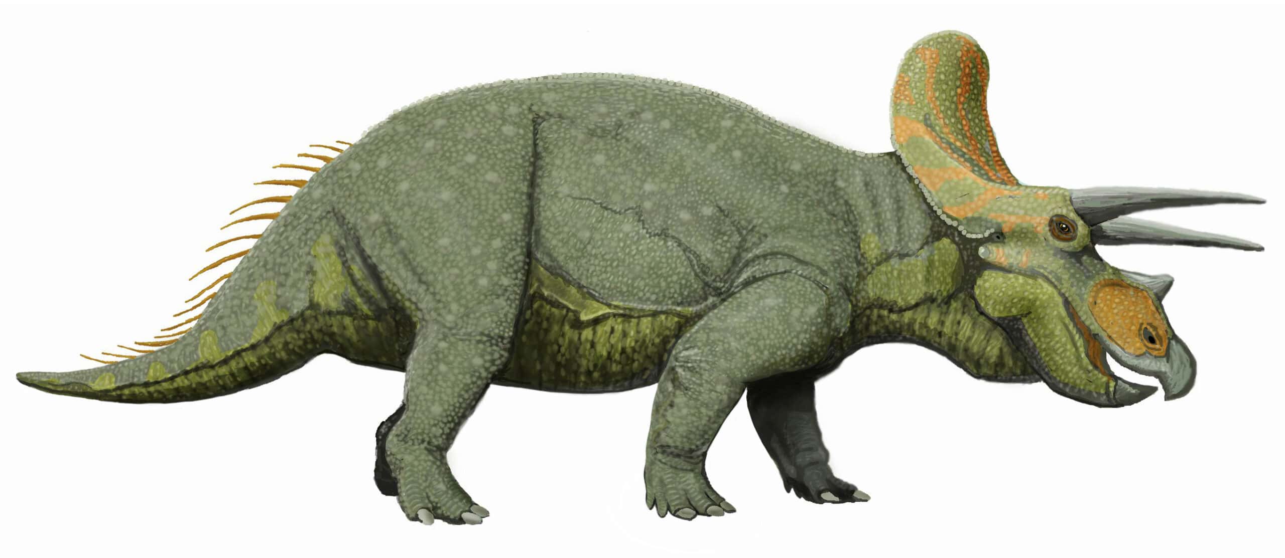 triceratops depiction