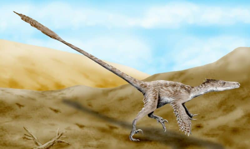 velociraptor restoration