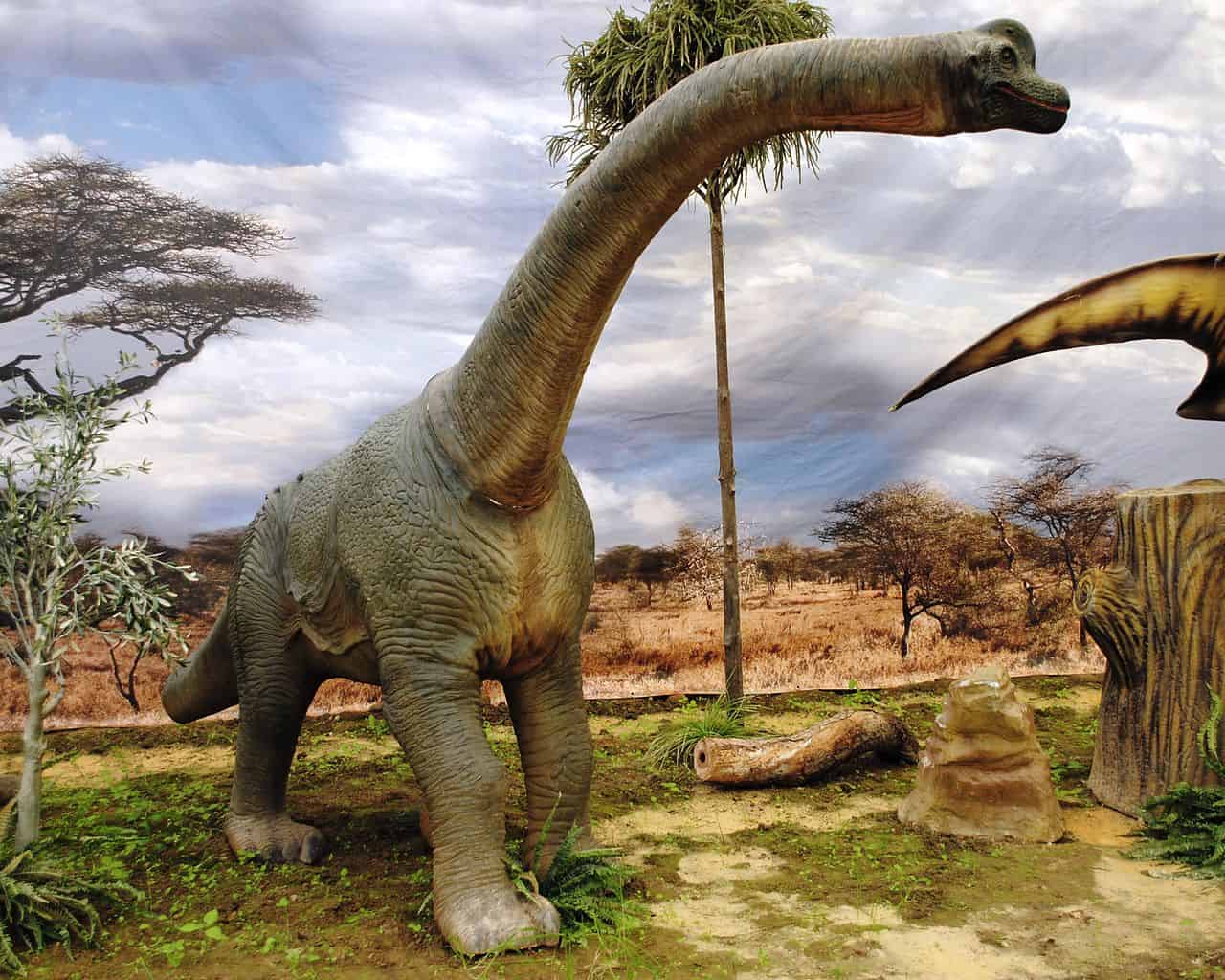 Branchiosaurus