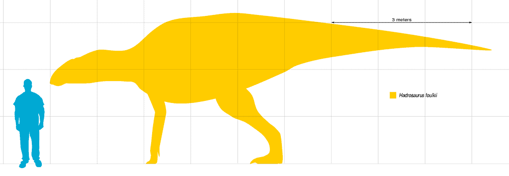 hadrosaur size