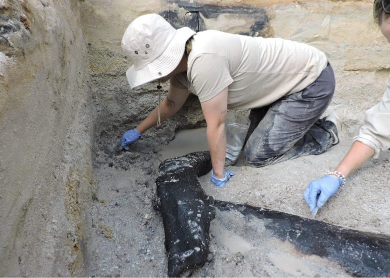 考古学者は、ホモ・サピエンスによって建てられたものではない50万年前の木造建造物を発見した