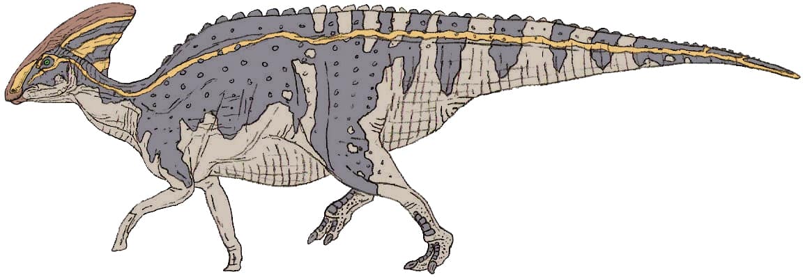 artistic depiction of Parasaurolophus