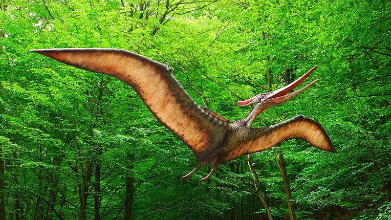 pterosaur depiction
