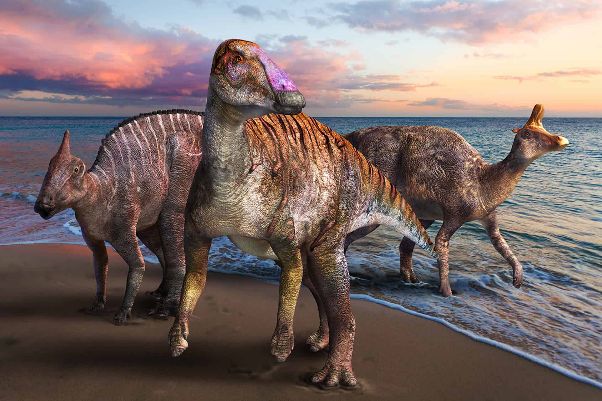 hadrosaur reconstruction