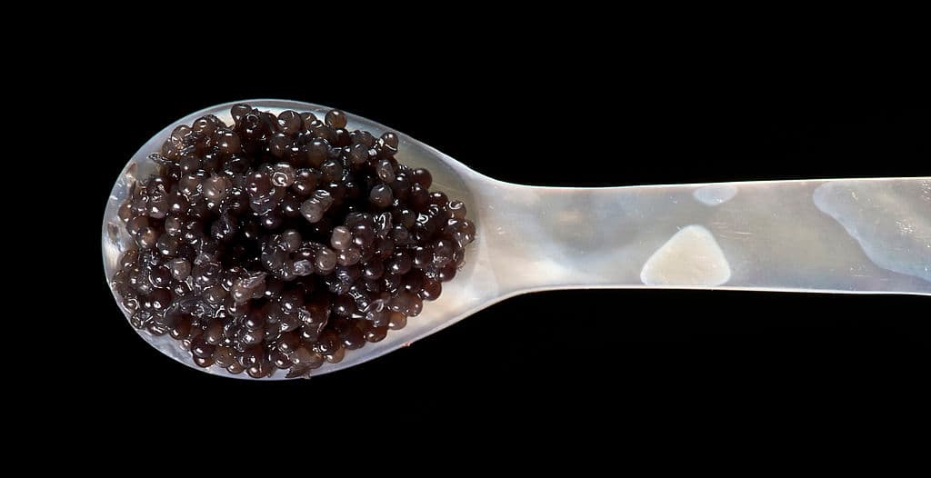 Caviar on a spoon