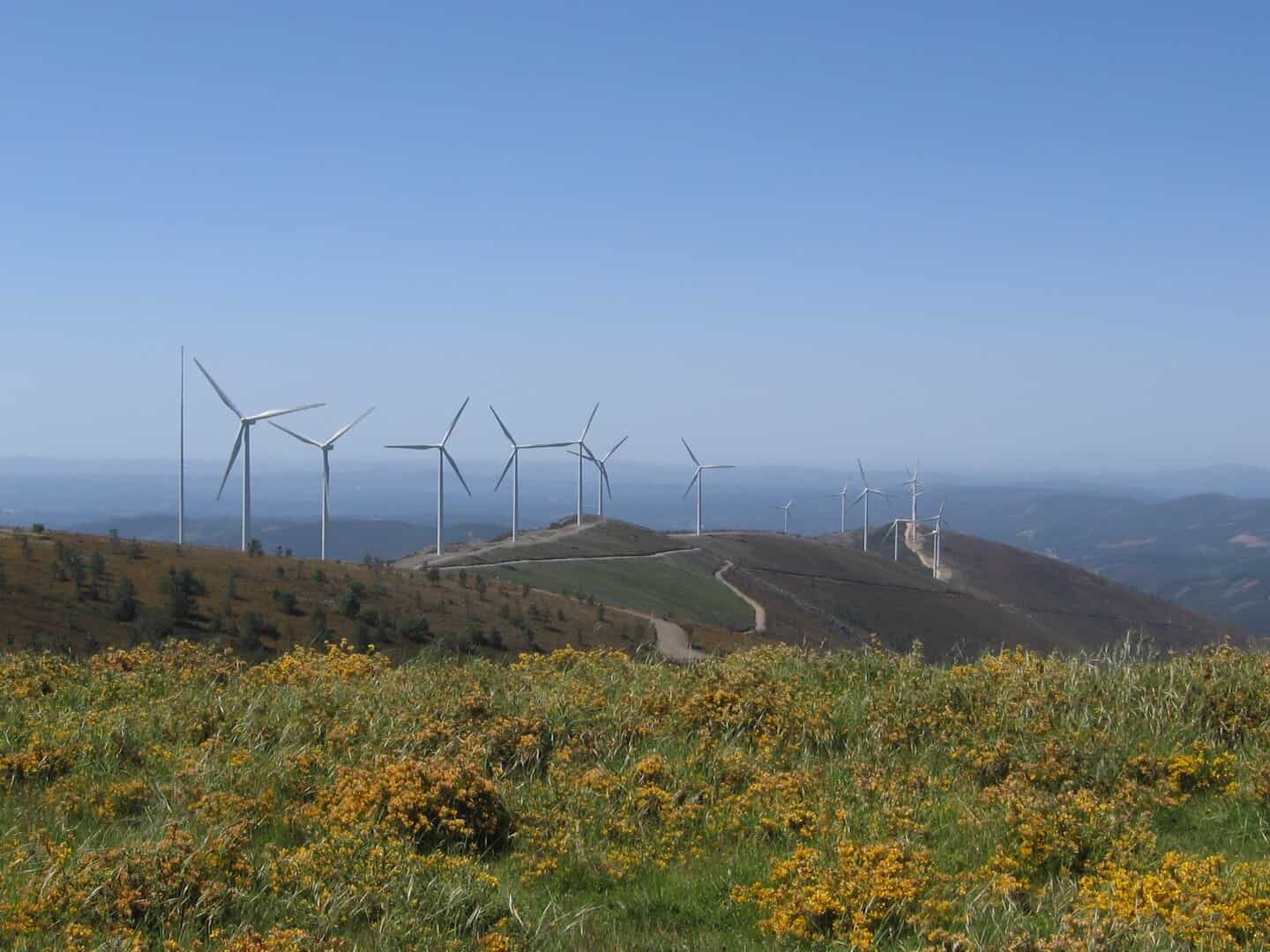 Windmills at L