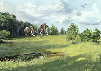 Big animals, like the elephants on the illustration, probably helped keep part of the European landscape open or semi-open during last interglacial period. Image credits: Brennan Stokkerman.