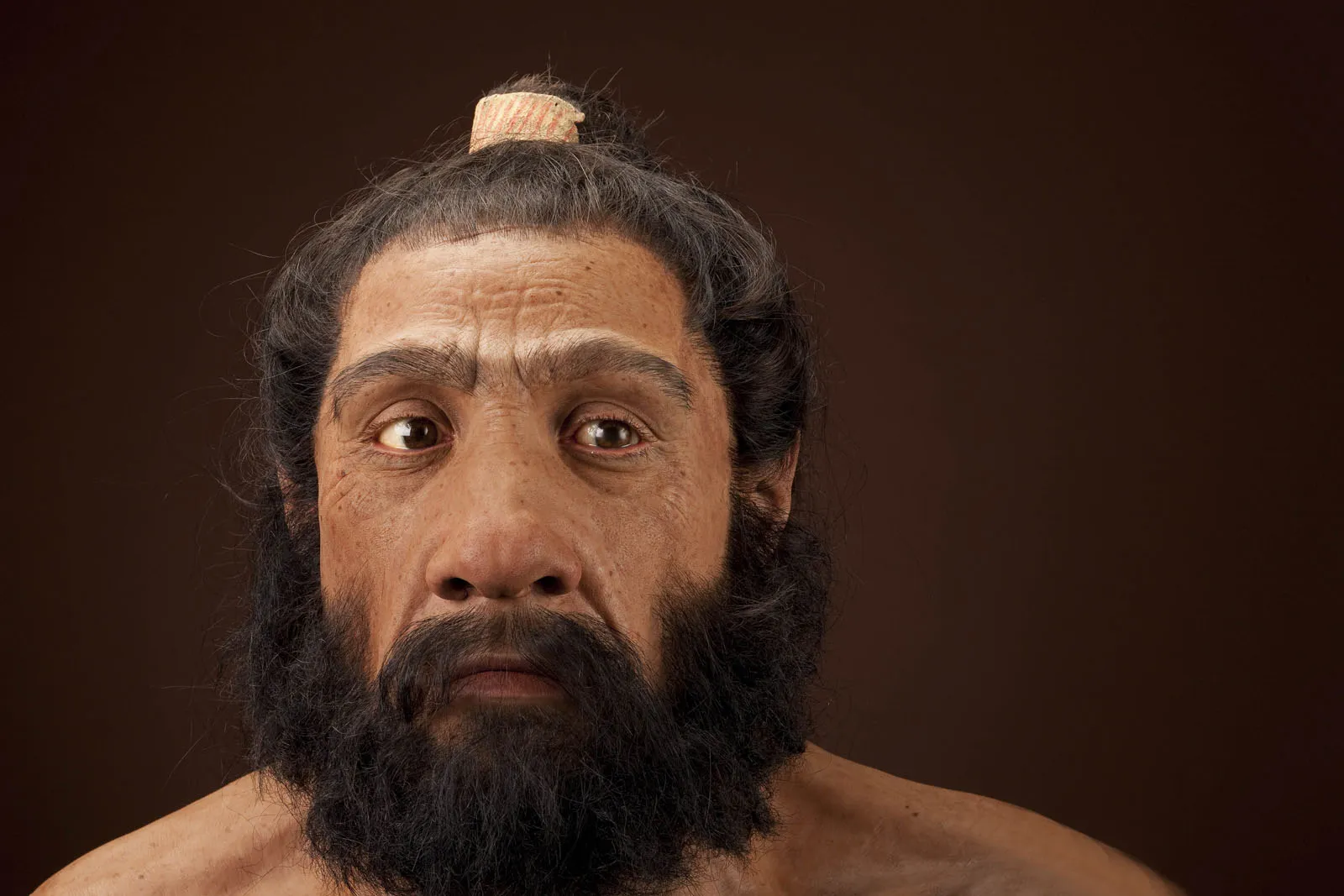 Неандертальцы, наши ближайшие предки человека, вымерли 35–40 000 лет назад. Джон Гурач/Чип Кларк через Wikicommons под общественным достоянием