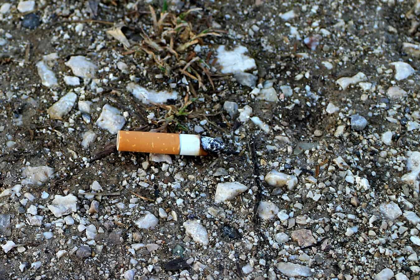 discarded cigarette butt on ground