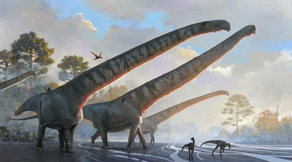 Artist's rendering of  Mamenchisaurus sinocanadorum with the longest dinosaur neck on record.