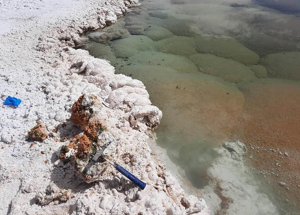 stromatolites cracked open and the hammer used to do it beside the lagoon