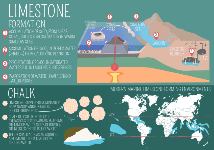 Schematic of the formation of limestone