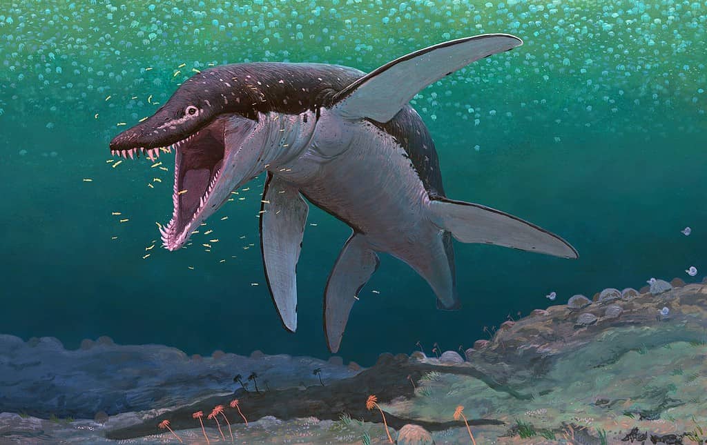 Lorrainosaurus illustration