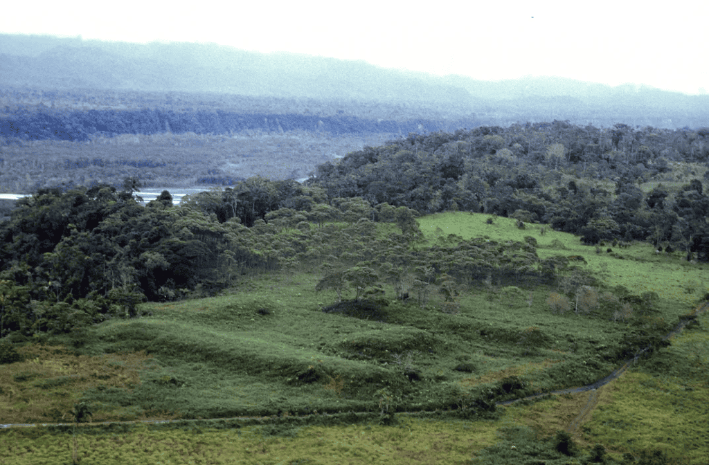 Researchers found rectangular platforms like this one along the bed of the Upano River in Ecuador.