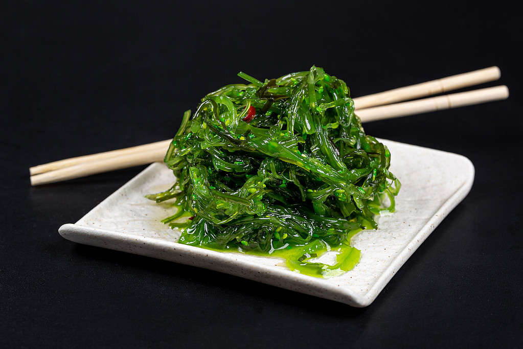 seaweed edible