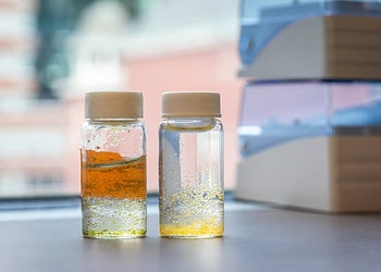 Hydrogels developed at MIT can be used to remove micropollutants from water. Image credits: Sebastian Gonzalez Quintero/MassArt.