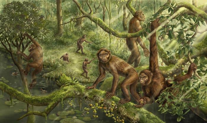 Depiction of Lufengpithecus in a forest.