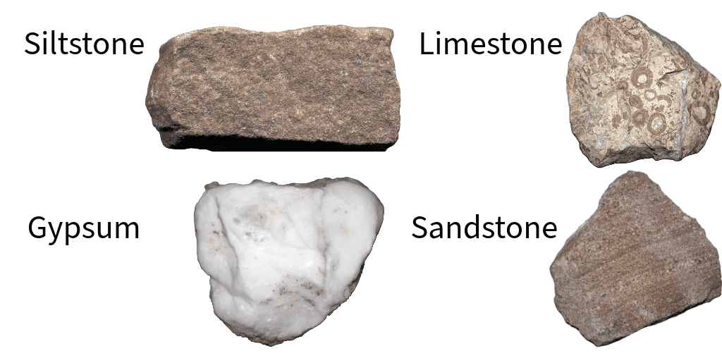 examples of sedimentary rocks