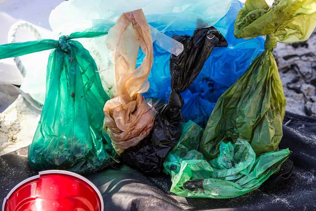 plastic bag waste